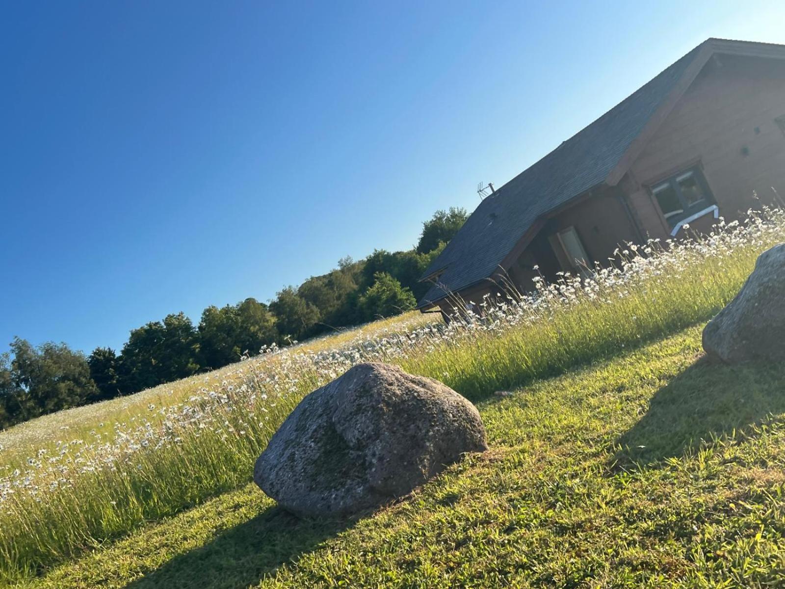 Cuddfan Lodge On A Gorgeous Private Lake Newport (Gwent) Exterior foto